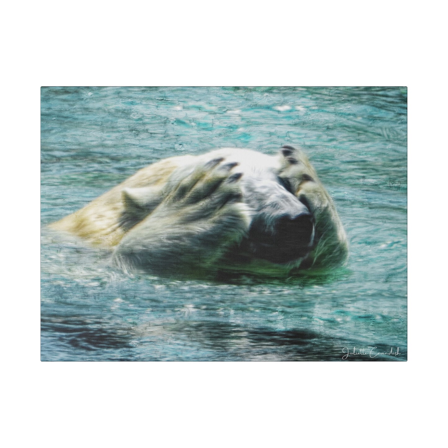 You Can't See Me