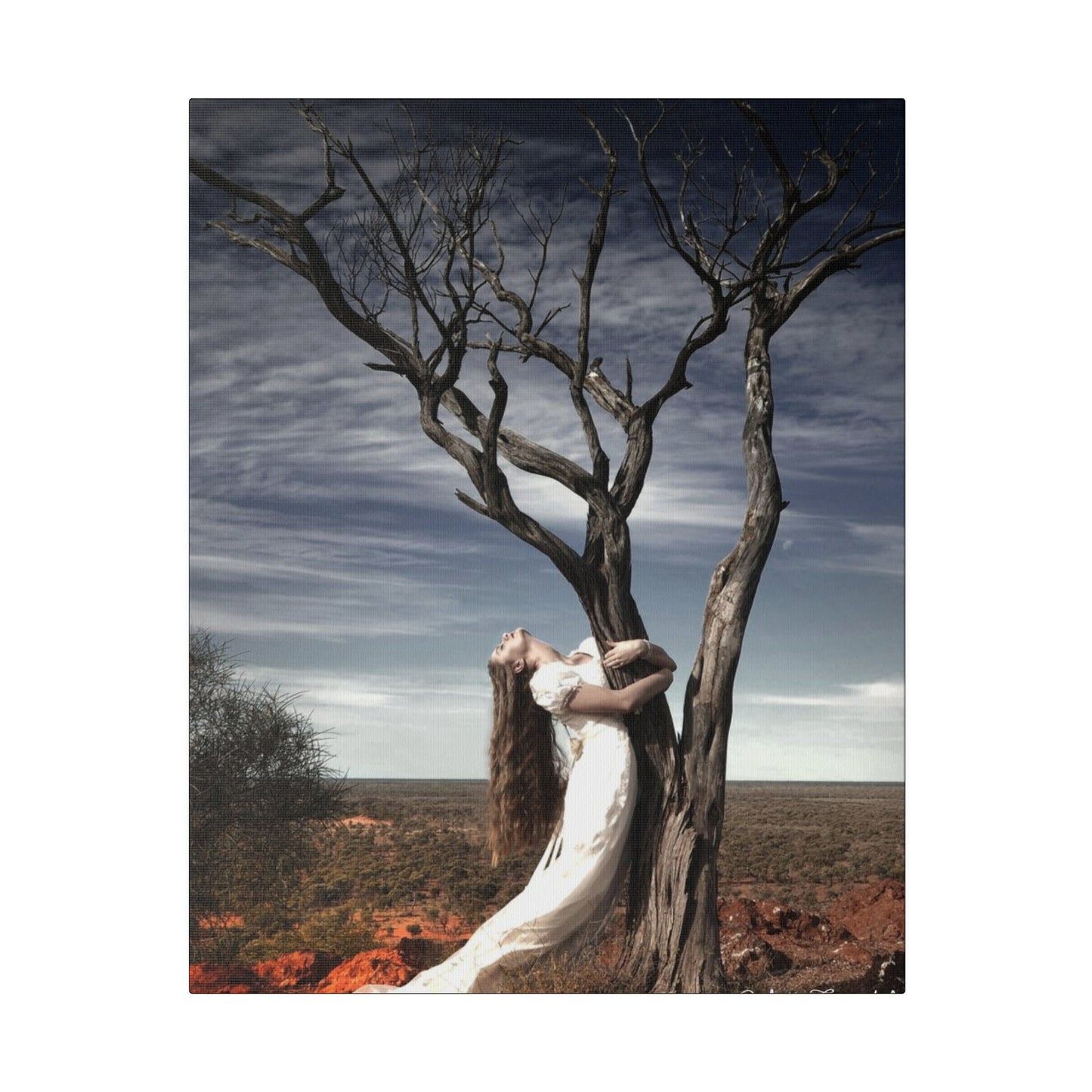 Outback Mermaid