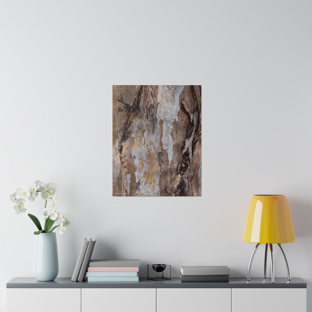 Tree Bark Canvas