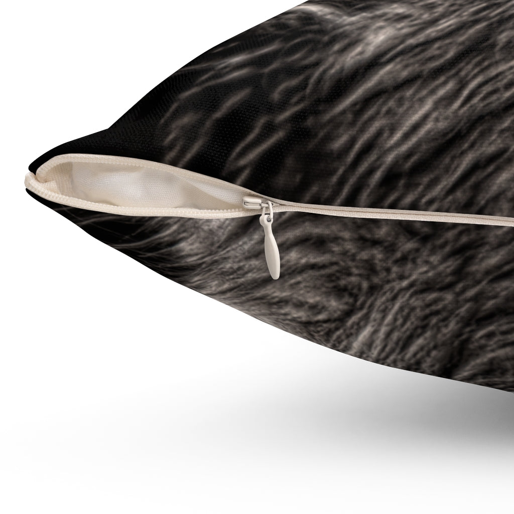 Butterfly and Kitten.