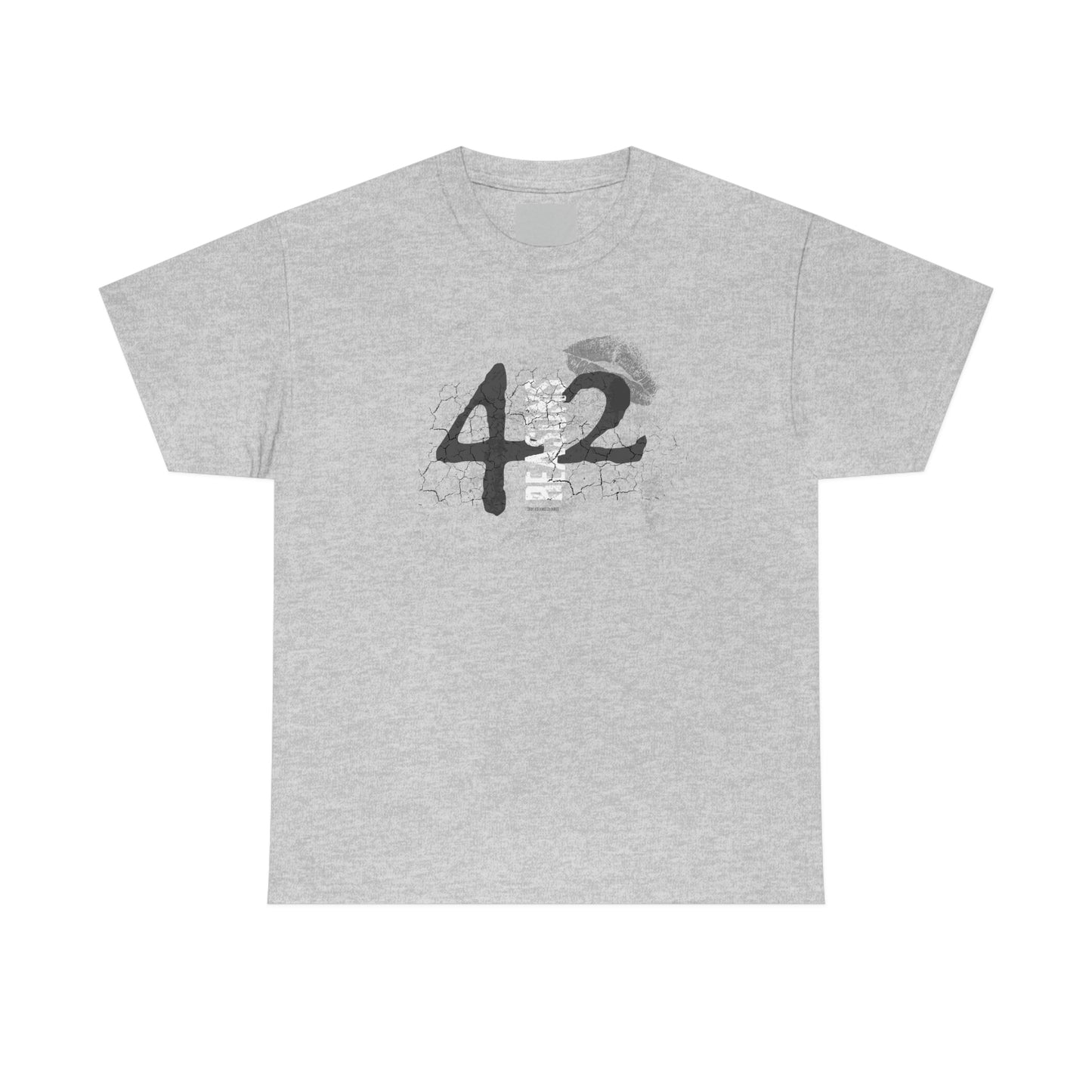 42 Reasons. Unisex Heavy Cotton Tee.