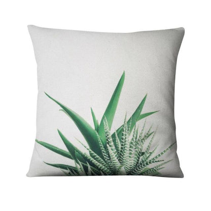 Cacti and Succulent Cushion Covers.