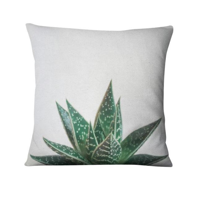 Cacti and Succulent Cushion Covers.