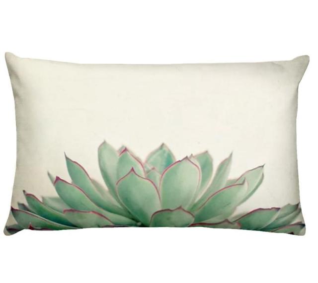 Cacti and Succulent Cushion Covers.