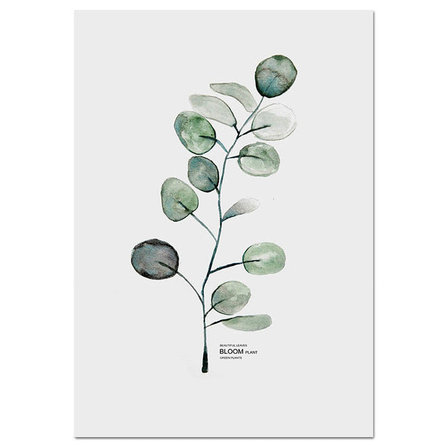Watercolor Plants Canvas Prints Unframed
