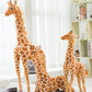 Giant size Giraffe.