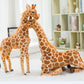 Giant size Giraffe.
