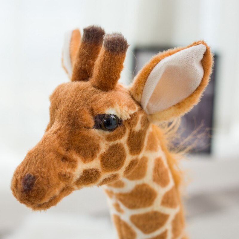 Giant size Giraffe.