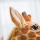 Giant size Giraffe.