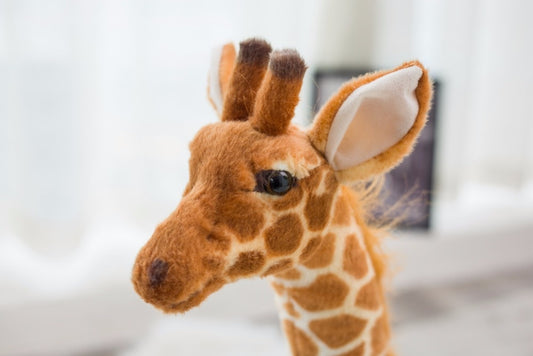 Giant size Giraffe.